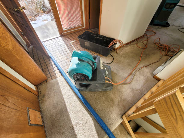 Best Residential Water Damage Restoration in Burney, CA